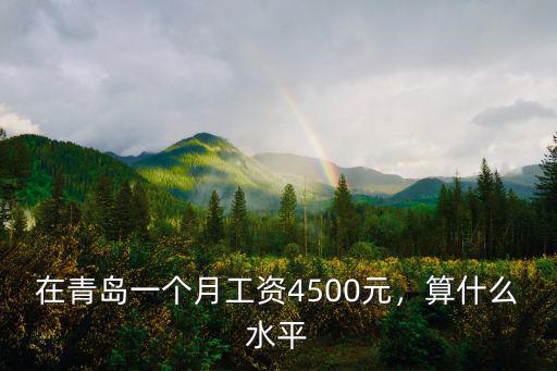 在青島一個(gè)月工資4500元，算什么水平