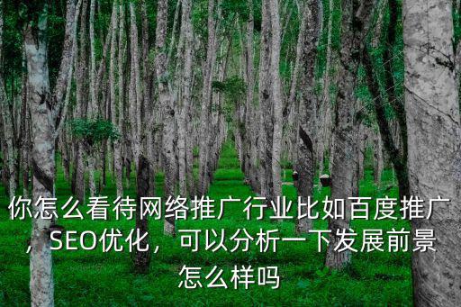 你怎么看待網(wǎng)絡(luò)推廣行業(yè)比如百度推廣，SEO優(yōu)化，可以分析一下發(fā)展前景怎么樣嗎