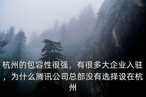 杭州有多少大企業,有很多大企業入駐
