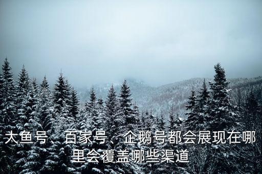 廣州大魚號在哪里找,企鵝號都會展現在哪里