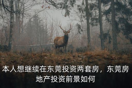 投資東莞房地產怎么樣,本人想繼續在東莞投資兩套房