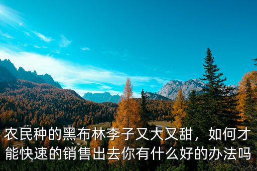 農民種的黑布林李子又大又甜，如何才能快速的銷售出去你有什么好的辦法嗎