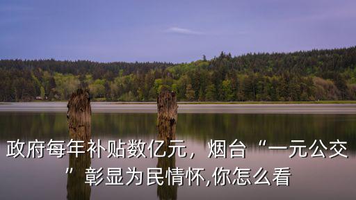 政府每年補貼數億元，煙臺“一元公交”彰顯為民情懷,你怎么看