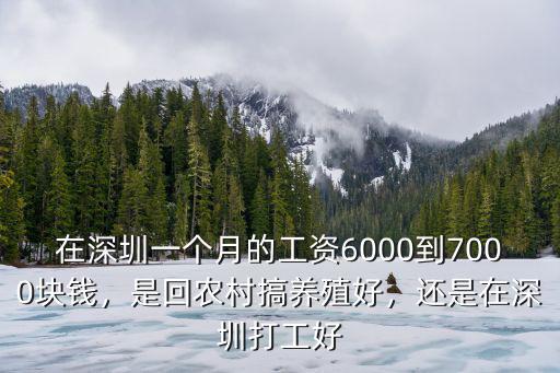 深圳農(nóng)民工資多少,還是在深圳打工好