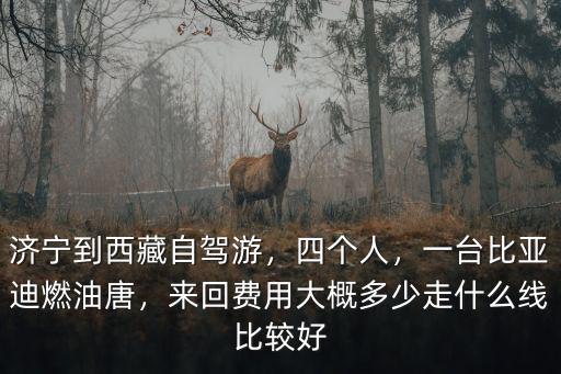 西安到濟(jì)寧自駕費(fèi)用是多少,濟(jì)寧到西藏自駕游