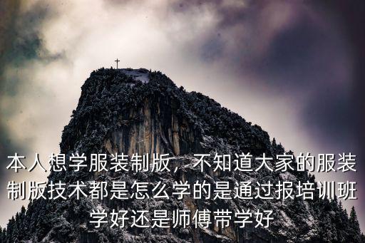 本人想學服裝制版，不知道大家的服裝制版技術都是怎么學的是通過報培訓班學好還是師傅帶學好
