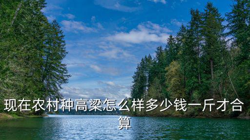 山東濱州無棣高粱多少錢一斤,現在高粱的價格是多少