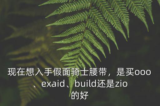 現在想入手假面騎士腰帶，是買ooo、exaid、build還是zio的好