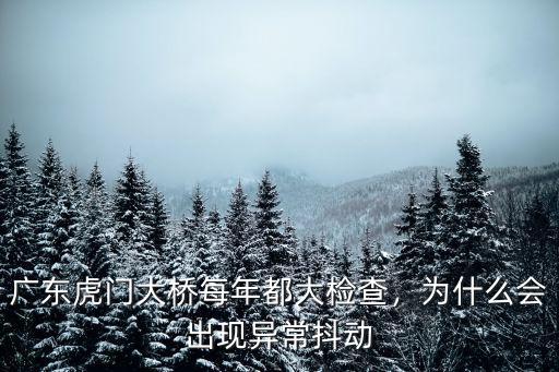 廣東虎門大橋怎么樣,廣東虎門大橋異常抖動