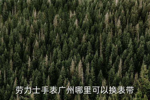 廣州市哪里可以維修勞力士店,廣州哪里可以修