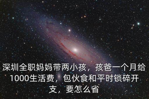 深圳全職媽媽帶兩小孩，孩爸一個月給1000生活費，包伙食和平時鎖碎開支，要怎么省
