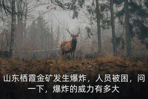 山東棲霞金礦一共被困多少人,山東棲霞金礦發生爆炸
