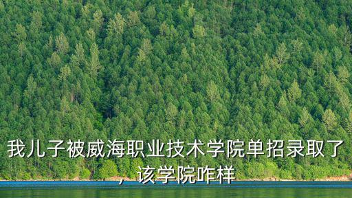 威海三聯(lián)學(xué)院多少分錄取,哈工大威海校區(qū)怎么樣