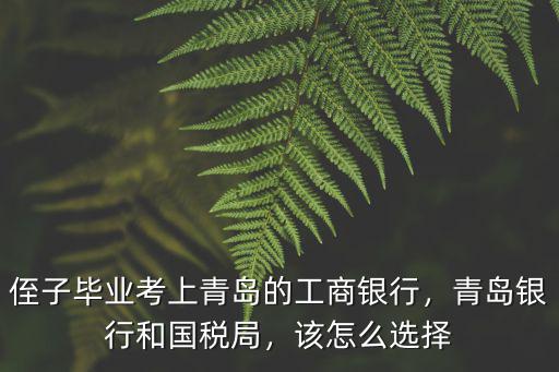 青島國稅人員工資多少,青島的平均工資是多少