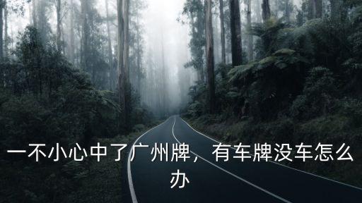 廣州對(duì)于放棄廣州車(chē)牌怎么處理,一不小心中了廣州牌