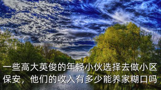 一些高大英俊的年輕小伙選擇去做小區(qū)保安，他們的收入有多少能養(yǎng)家糊口嗎