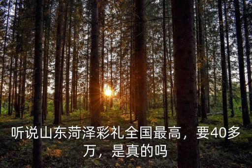 聽說山東菏澤彩禮全國最高，要40多萬，是真的嗎