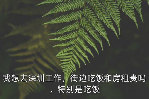 深圳消費水平是多少,在深圳一個人