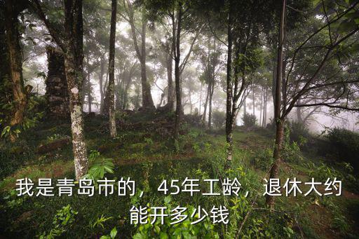我是青島市的，45年工齡，退休大約能開多少錢