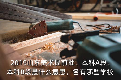 2019山東省美術(shù)本科招生計劃是多少,本科B段是什么意思