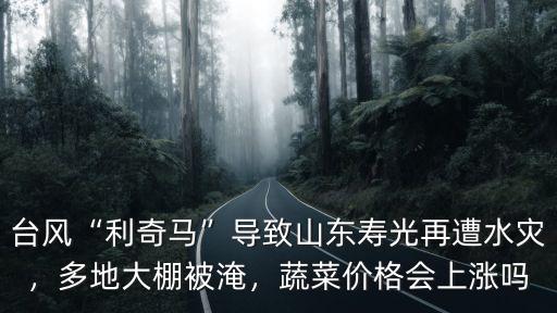 山東壽光多少大棚,多地大棚被淹