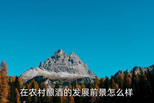 廣東貨真價(jià)實(shí)的軍酒坊怎么樣,在農(nóng)村釀酒的發(fā)展前景怎么樣