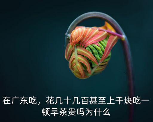 在廣東吃，花幾十幾百甚至上千塊吃一頓早茶貴嗎為什么