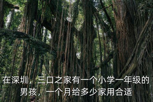 在深圳，三口之家有一個小學一年級的男孩，一個月給多少家用合適
