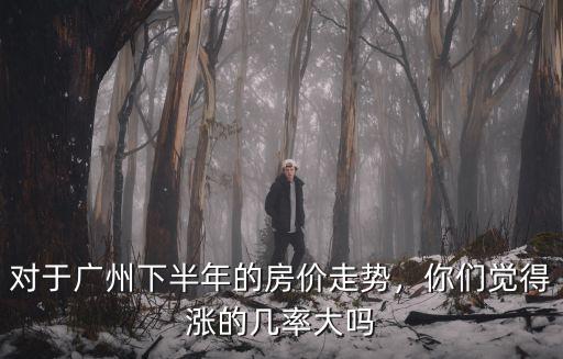 對于廣州下半年的房價走勢，你們覺得漲的幾率大嗎