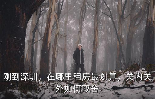 剛到深圳，在哪里租房最劃算，關內關外如何取舍