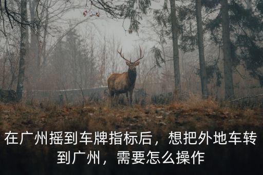車買了后在哪里打印廣州指標,在廣州搖到車牌指標后