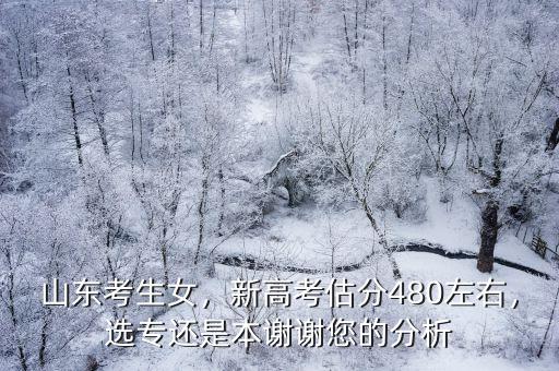 山東考生2018高考你估分多少,新高考估分480左右