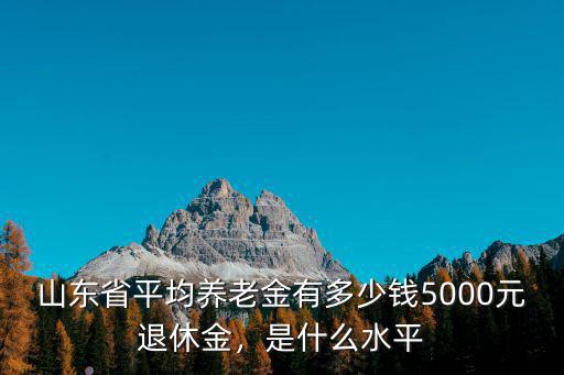 山東省濟鋼退休金多少錢,5000元退休金