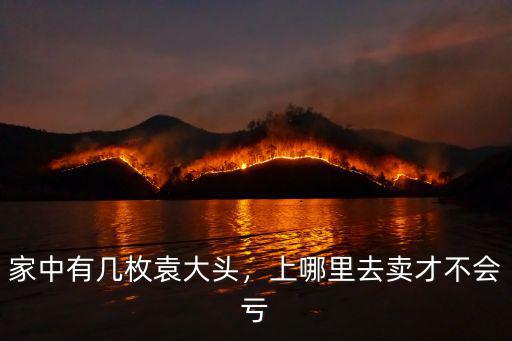 家中有幾枚袁大頭，上哪里去賣才不會虧