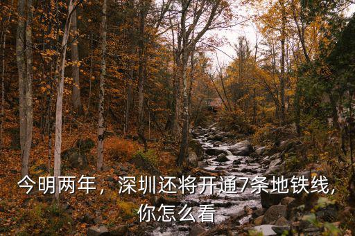 深圳地鐵預計多少條開通,深圳4條地鐵線路