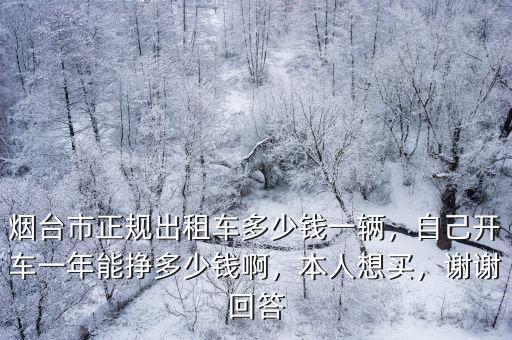 煙臺市正規出租車多少錢一輛，自己開車一年能掙多少錢啊，本人想買，謝謝回答