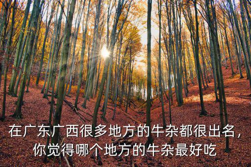 廣東有多少地方吃牛雜,你覺得哪個地方的牛雜最好吃