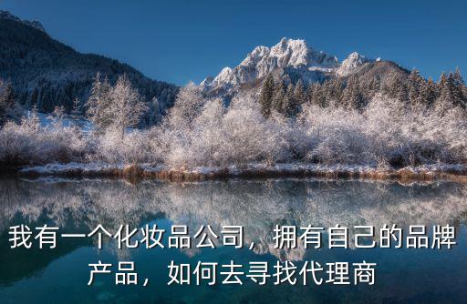我有一個化妝品公司，擁有自己的品牌產品，如何去尋找代理商