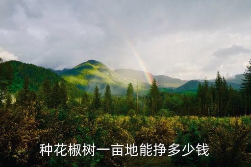 山東大料花椒多少錢一斤,今年的花椒多少錢