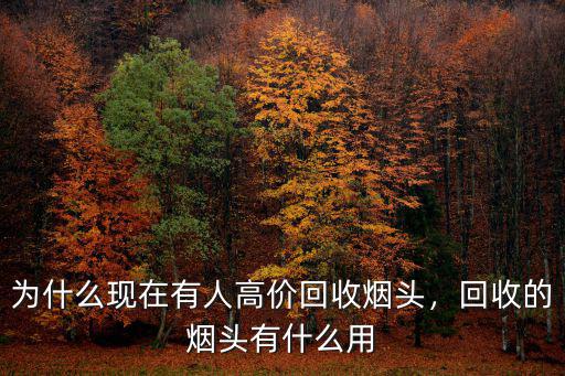 為什么現在有人高價回收煙頭，回收的煙頭有什么用
