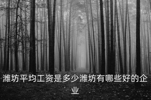 濰坊平均工資是多少濰坊有哪些好的企業(yè)