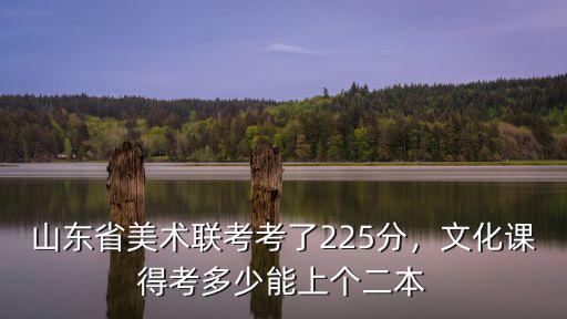 山東美術(shù)統(tǒng)考2018分?jǐn)?shù)線是多少,山東省美術(shù)聯(lián)考考了225分