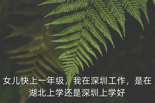 一個孩子在深圳哪里上學好,孩子在哪里讀書好