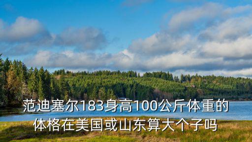 山東籍在美國有多少人,東北人中有多少山東人的后代