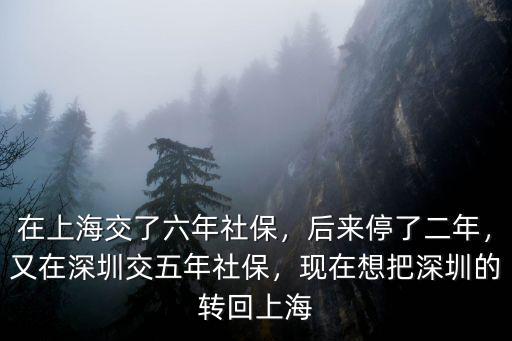 深圳社保轉回海南怎么,又在深圳交五年社保