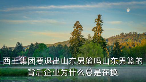 西王集團要退出山東男籃嗎山東男籃的背后企業(yè)為什么總是在換