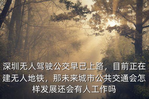 深圳哪里有無人公交,深圳無人駕駛公交早已上路