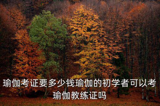 瑜伽考證要多少錢瑜伽的初學者可以考瑜伽教練證嗎