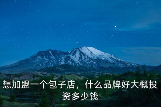 濟南良心包子鋪加盟多少錢,想加盟一個包子店