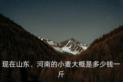 現在山東麥子價格多少錢一斤,山東菏澤小麥多少錢一斤